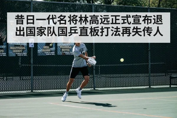 昔日一代名将林高远正式宣布退出国家队国乒直板打法再失传人