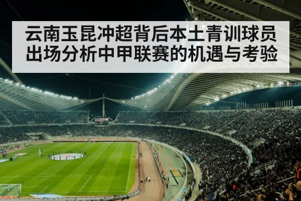 football stadium crowd match