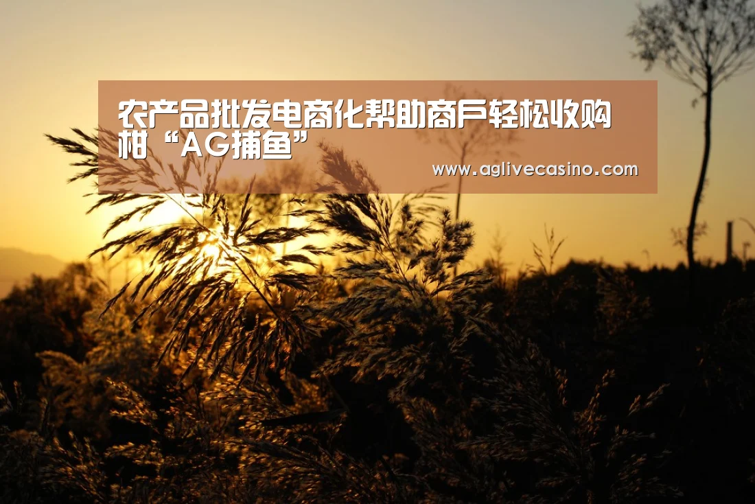 AG综合