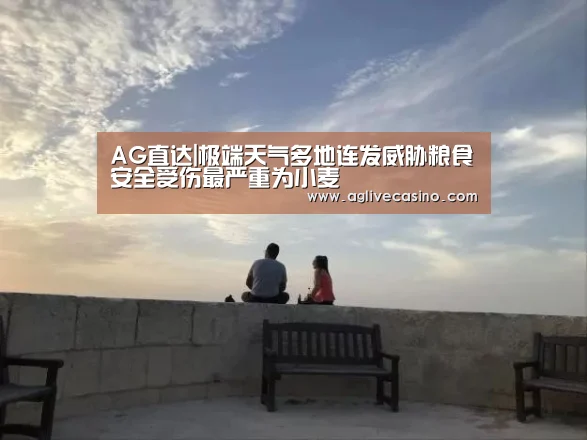 AG直达|极端天气多地连发威胁粮食安全受伤最严重为小麦
