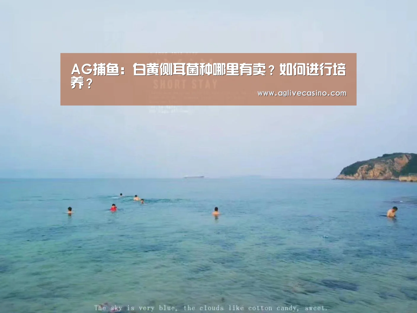 AG直达