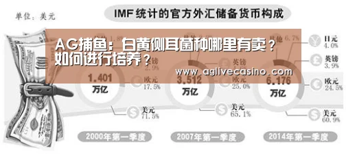 AG直达