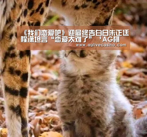 《我们恋爱吧》迎最终告白日朱正廷程潇坦言“恋爱太难了”‘AG